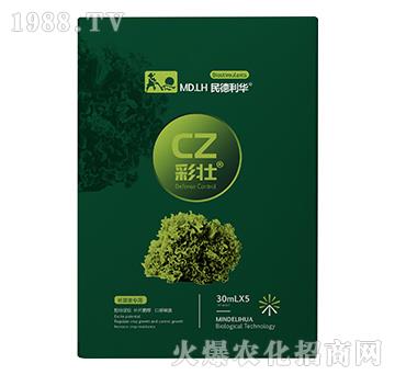 �~�ˌ���-�ʉ�-������A