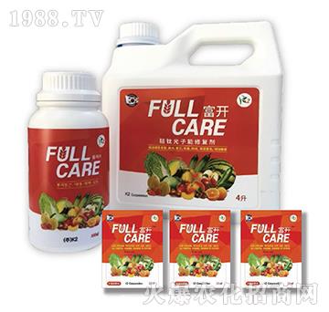 ����ޏ�(f��)��-���_(k��i)-��ʢ����