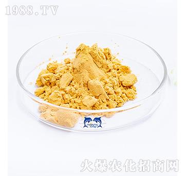 �����ǹ���-���L�`