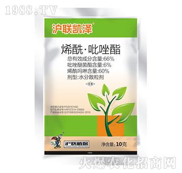 66%ϩ����������-��(li��n)�P��-��(li��n)