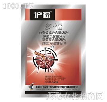 30%�ࡤ��-����-��(li��n)