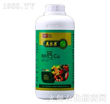 �Ǵ��}-Ӣ����