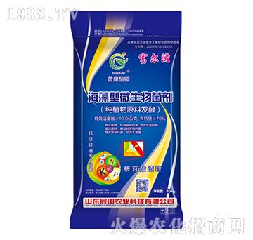 ������΢�������-������-����r(n��ng)�I(y��)