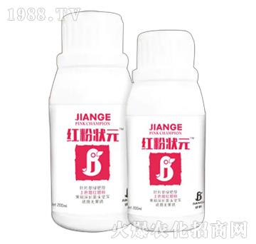 �t�۠�Ԫ-��������