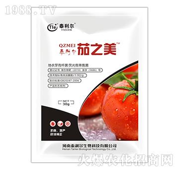 ����ѿ�ߗU�����ɹ�نΰ���-��֮��-̩����