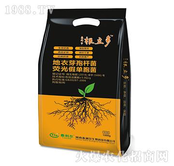 ����ѿ�ߗU�����ɹ�ΰ��U��-������-̩����