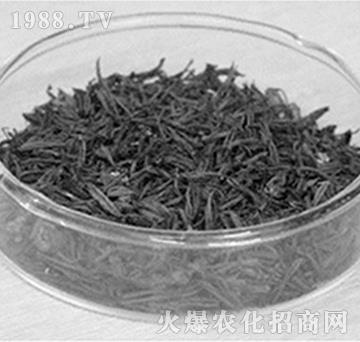 ����̿-��(r��n)�f(w��n)���r(n��ng)�I(y��)