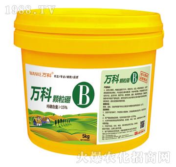 �w����-�f(w��n)��