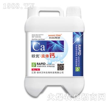 �W��(y��u)�����w�}-�f(w��n)��