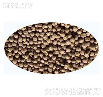 �����{(di��o)�턩-�ε��R