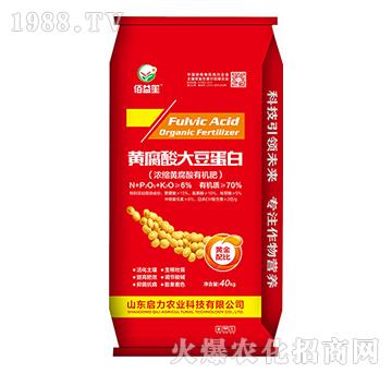 ��s�S�����ЙC��-�S����󶹵���-�����r�I(y��)