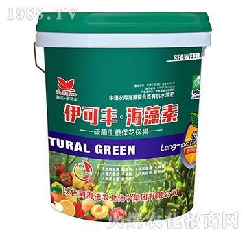 ̼ø������������-�����S��������-����