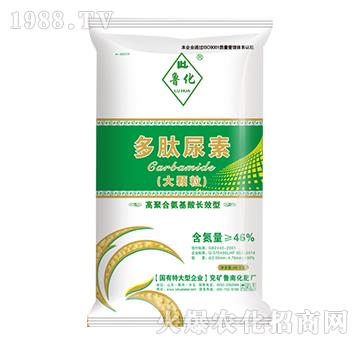 ���w����������-����