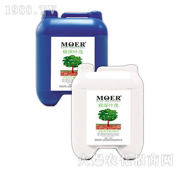 �����~ï-Ħ������