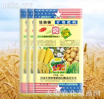 �V�����-����-����-�S���r(n��ng)�I(y��)