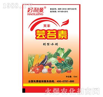 �|̦��-������-��ֲ�_(d��)