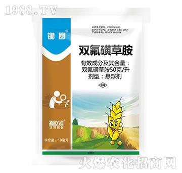 50��ÿ���p���ǲݰ�-�z�A-�����S