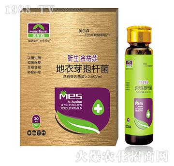 �������K���M�ϣ�-����ɭ