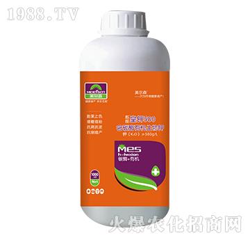 ��̼ø�ЙC(j��)�����-���ܻ��580-����ɭ