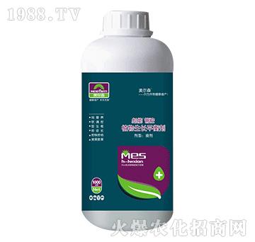 1000mlֲ�����Lƽ�℩-���ܹܿ�-����ɭ