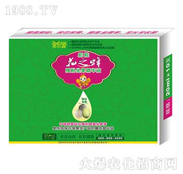 ��ό����ڷ��������AҺ-��֮��-����ɭ