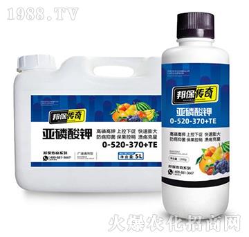 �������0-520-370+TE-�����-��ʘI(y��)