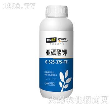 �������0-525-375+TE-�����-��ʘI(y��)