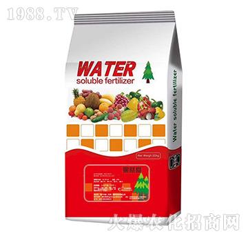 ��Ȼ��(��i)-���V��(li��n)