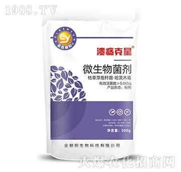 ΢�������-��������-���