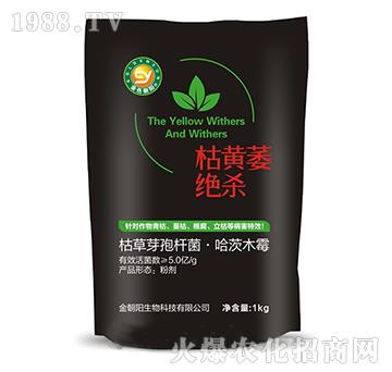 ���Sή�^��-���(y��ng)