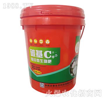 ̼���ͺ�΢�����-�������B(t��i)