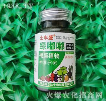 �G��-���Sʢ-�����_