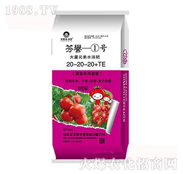 ����Ԫ��ˮ�ܷ�20-20-20+TE-���u(y��)1̖-�����������u(y��)-������