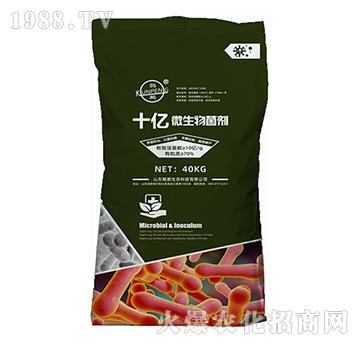 ʮ�|΢�������-�H�i���B(t��i)