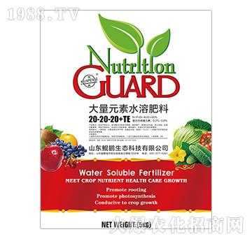 ����Ԫ��ˮ�ܷ���20-20-20+TE-�H�i���B(t��i)