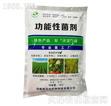 ���A�I�B(y��ng)�͹������-�֌�����