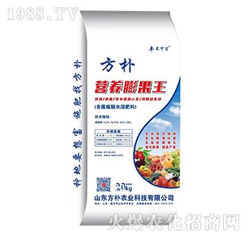 �I�B(y��ng)�����-����