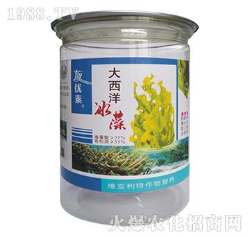 ���������-�S������