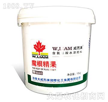 Ħ������-������