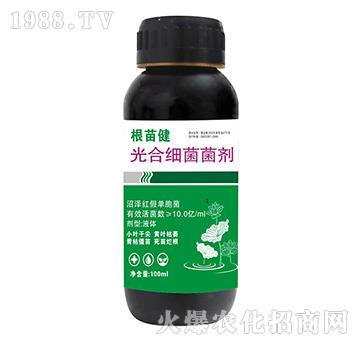 ��ϼ�(x��)������-���罡-����