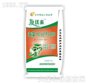 ������}�V⛷�-�S����