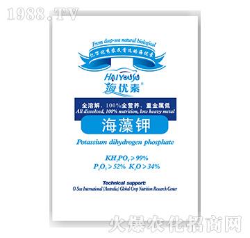 �����-�S������