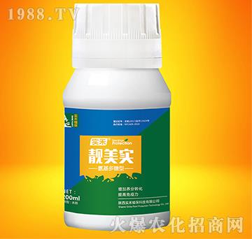 �n����(sh��)-��(sh��)��