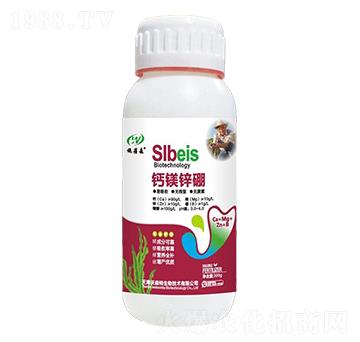 �}�V�\��-ʩ��ɭ-��ɭ��