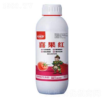 1000�����t������ϲ���t-��ڌ�-�{(l��n)���r(n��ng)��