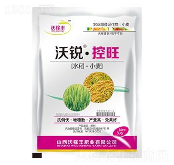 ���J����(ˮ����С��)-�ּ��S�ʘI(y��)