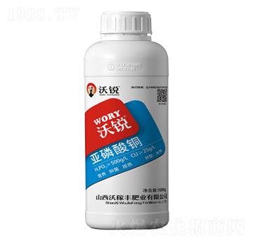 �������~-���J-�ּ��S�ʘI(y��)