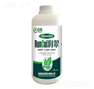 ����-�Ű�ʘI(y��)