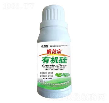 ��Ч���ЙC(j��)��-�f(w��n)�ڼt-���{�d