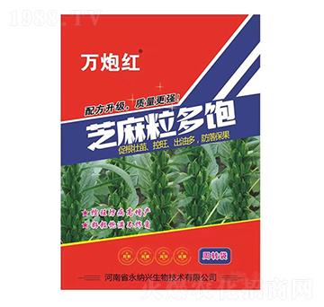 ֥�������-�f(w��n)�ڼt-���{�d